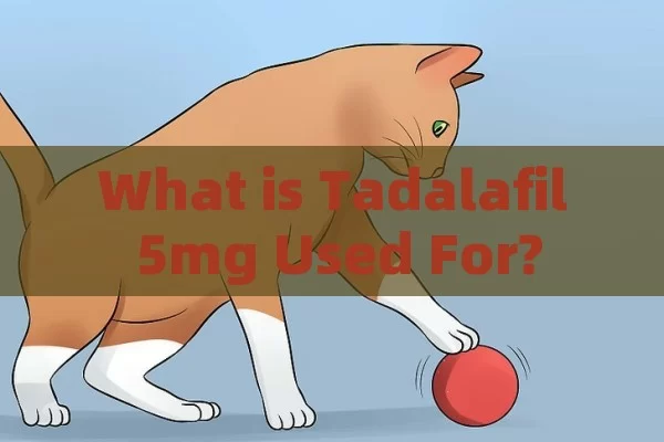 What is Tadalafil 5mg Used For?